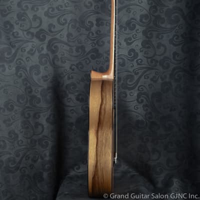 Raimundo Tatyana Ryzhkova Signature model, Cedar top  classical guitar image 3