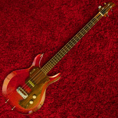 Steal Walter Becker’s 1969 Stage Played Dan Armstrong Bass Serial # D554A Used on The Midnight Special 