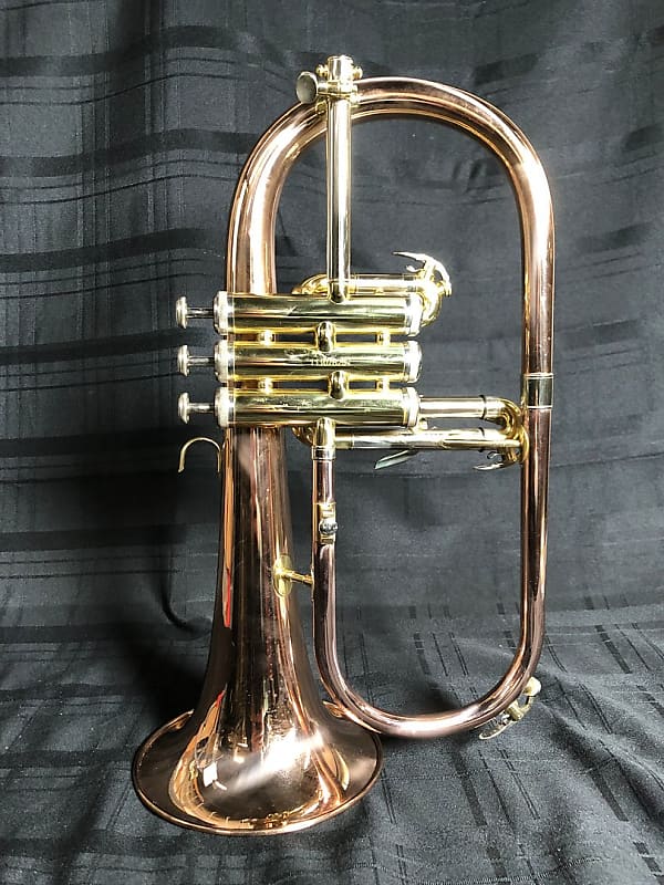 Roy Benson FH302G Flugelhorn (Cherry Hill, NJ) Reverb
