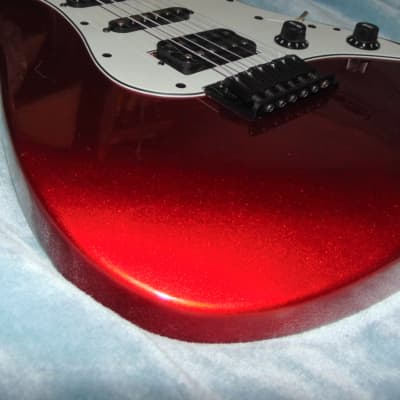 Chatting Bird by Caparison HSS -Guitars4cancer- Flame Maple