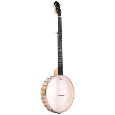 Gold Tone BC-350 Bob Carlin Banjo w/case, Left-Handed, New, Free Shipping, Authorized Dealer, Demo Video! image 14