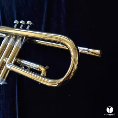 The Martin Imperial Handcraft trumpet case mouthpiece gamonbrass image 12