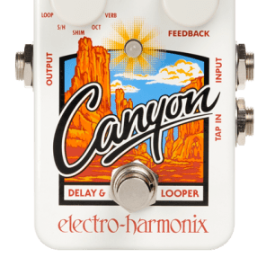 Electro Harmonix Canyon Delay and Looper image 1