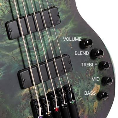 Cort Space 5 SDG | Artisan Series 5-String Bass Guitar, Star Dust Green. New with Full Warranty! image 10