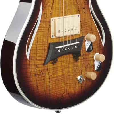 Michael Kelly Hybrid Special Electric Guitar, Pau Ferro Fingerboard, Spalted Maple Burst image 3