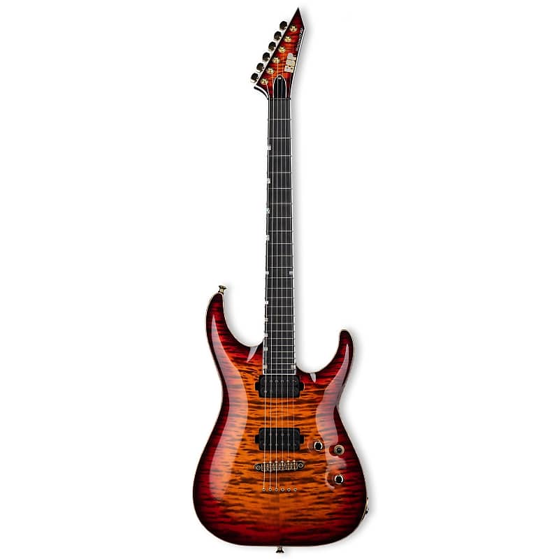 【希少美品】ESP CUSTOM GUITAR Horizon-Ⅱ エレキギター Esp Original Series Horizon II Custom Cast Metal Rusty Iron