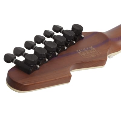 Schecter Avenger Exotic Ziricote image 16