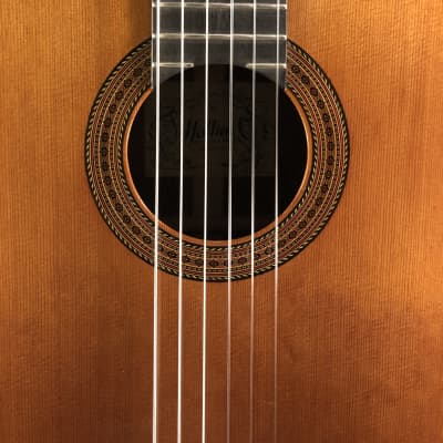 2019 Holtier Classical Guitar image 9