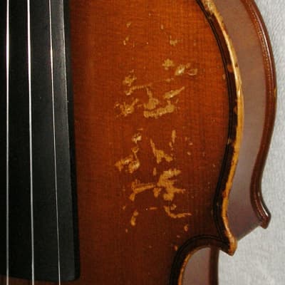 4/4  Paesold Violin Model PA800 1999 image 2