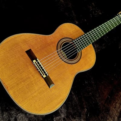 ARNULFO RUBIO Double Top with Nomex Grand Concert Master Grade-Cedar/Ancient Brazilian Rosewood image 11