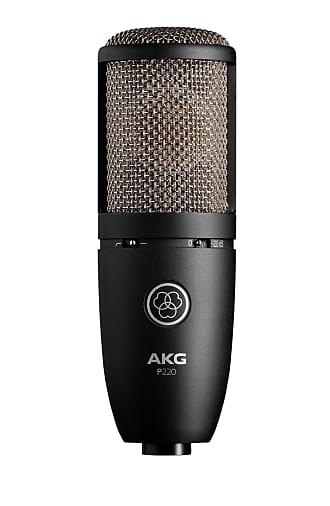AKG P220 Large-Diaphragm Condenser Microphone image 1