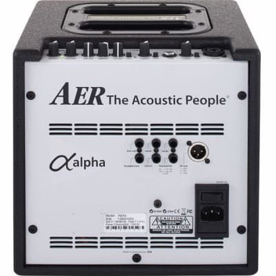 AER Alpha | 2 chnl 40-Watt 1x8" Acoustic Guitar Combo. New with Full Warranty! image 9