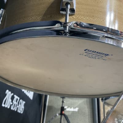 Ludwig 3 Ply Butcher Block Pro-Beat, 24,18,16,14,13, Blue/Olive Pointy Badge, Immaculate!! 1976 image 21