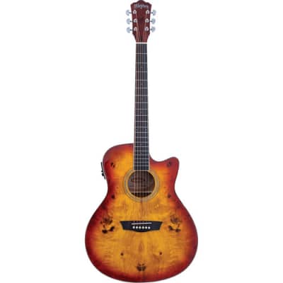 Washburn Deep Forest Burl ACE Acoustic/Electric Guitar - Amber Fade for sale