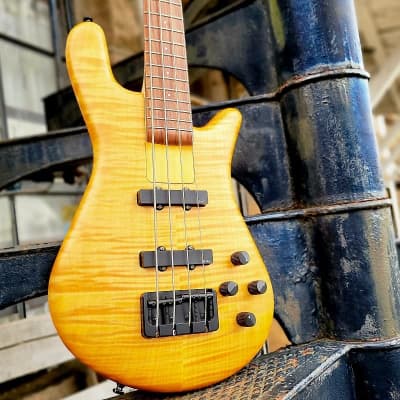 2002 Spector USA NS-2J - Maple Body - Natural Oil | Reverb
