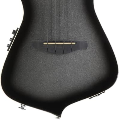 Ibanez ukulele online case