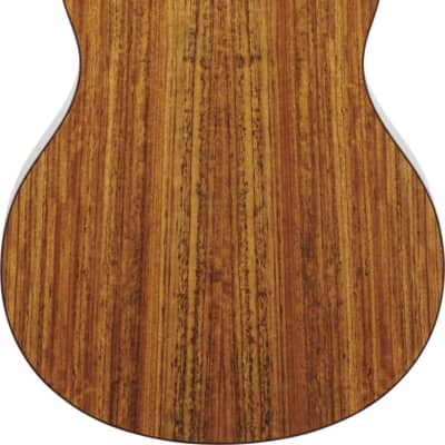 Washburn Bella Tono Novo S9 Acoustic Guitar, Gloss Charcoal Burst image 3