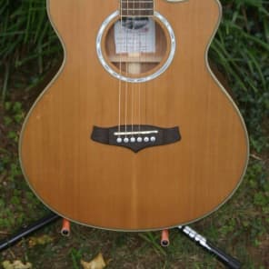 Tanglewood Evolution TSF CE N Reverb