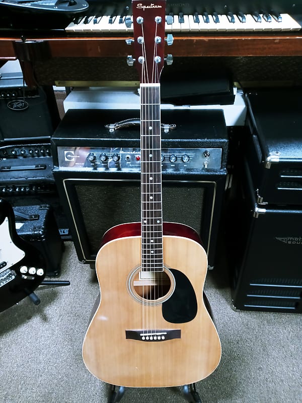Spectrum AIL 123A Acoustic Guitar 2019 Natural Reverb