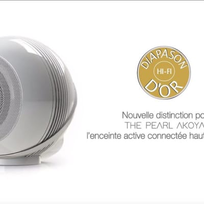 Diffusore Wireless Amplificato 3 Vie da Libreria Hi-Fi Cabasse The Pearl  Akoya