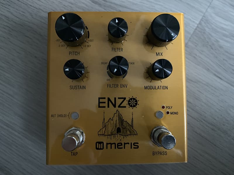 Meris Enzo