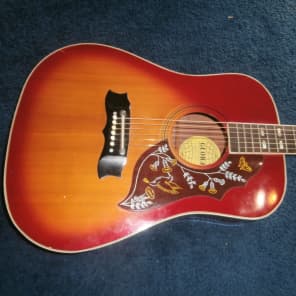 Global acoustic guitar hummingbird outlet