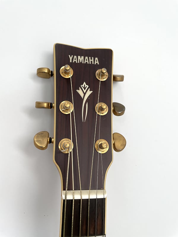 Yamaha DW-8 Acoustic Guitar | Reverb