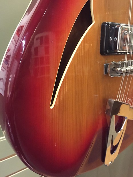 Rickenbacker 12 string shop copy