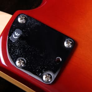2002-03 Fender Deluxe Zone Bass MIM NOS- Sienna Sunburst Finish image 9