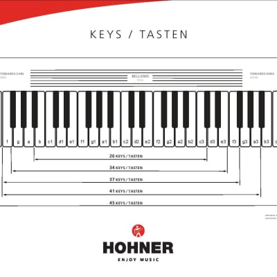 Hohner Bravo II 48 Bass Red Rojo Piano Accordion Acordeon +GigBag, Straps, Shirt - Authorized Dealer image 11