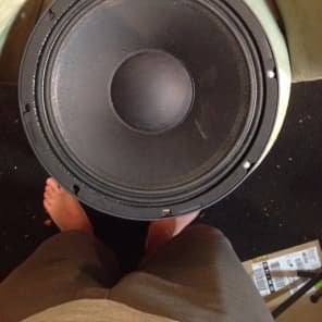 Faital 12pr300 Neo Speaker Bass 12 Inch Neo 600 Watts 4ohm 2015 Black image 1
