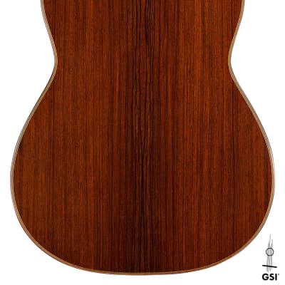Juan Garcia Fernandez 2022 Classical Guitar Spruce/Cocobolo image 8