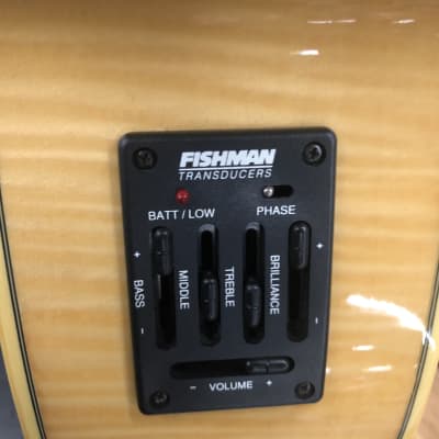 3SDM65 Athlete アコースティック フレットレスベース ACOUSTIC BASSES