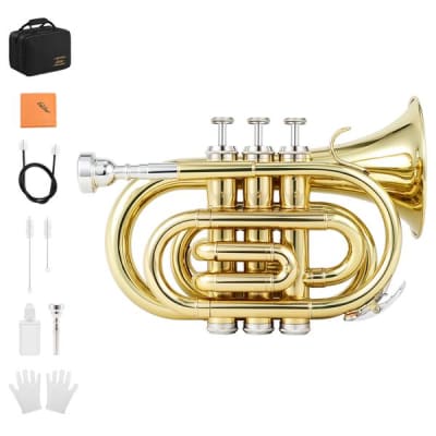 Standard Pocket Trumpet Bb Full Kit With Case & Accessories Bundle image 15
