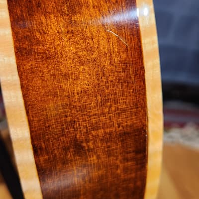 Eastman Otto D'Ambrosio El Rey Hollowbody Electric Guitar - Original Hard Case-Solid Wood Beauty image 14