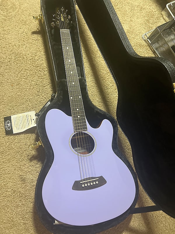 Ibanez AAM54CE-OPN - Acoustic Guitar