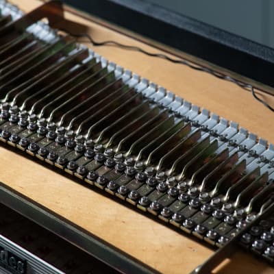 Rhodes Mark I Stage 73-Key Electric Piano 1975 - 1979 - Black Rounded Top image 9