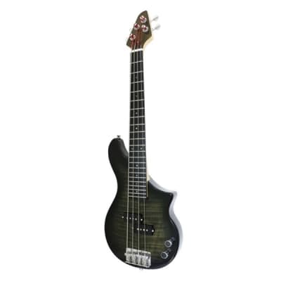 TINYBOY TBP-3400BFM [Fretted Base] for sale