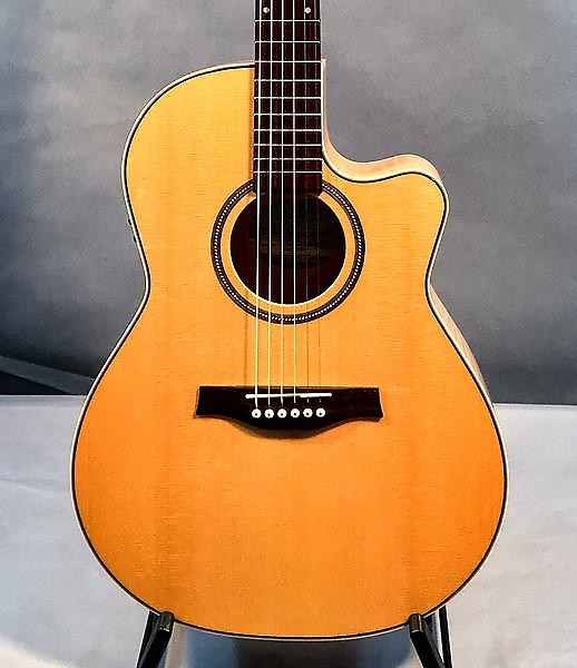 Seagull performer cw folk sale flame maple hg qit