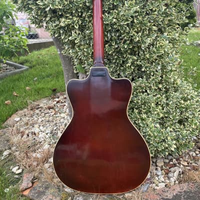 Perlgold Verythin Thinline Guitar 1960 image 8