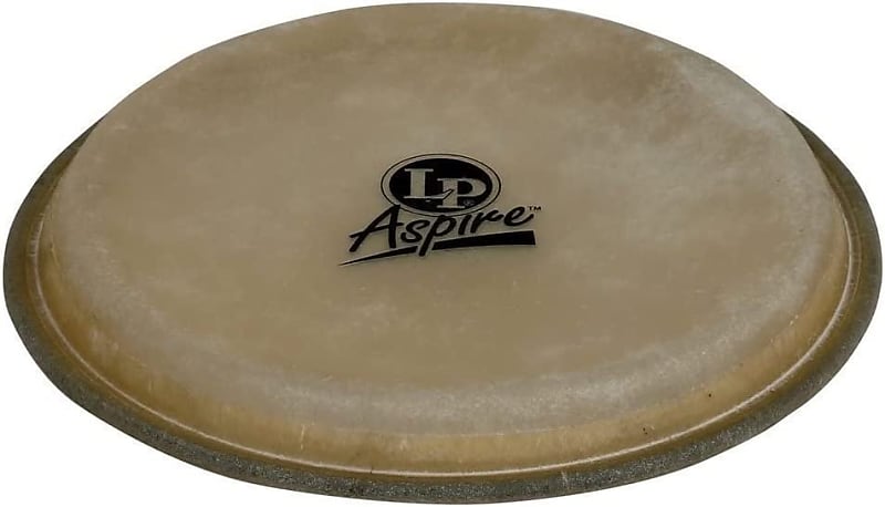 Cp Bongo Heads LP A601-VSB Aspire Bongo Set – Thomann United