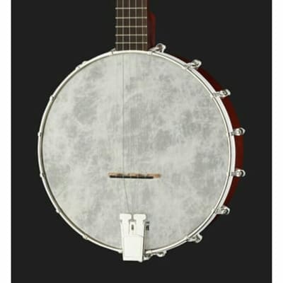 Recording King RKOH-05 | Dirty 30s Open Back Banjo. Brand New! image 9