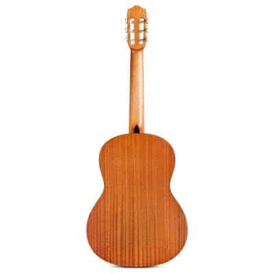Cordoba Protege C1M Nylon-String Acoustic Guitar (BF23) image 4
