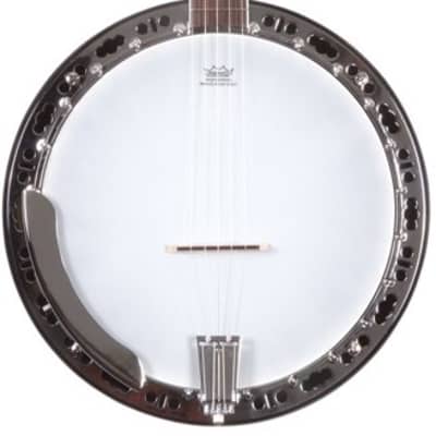 Washburn b14 banjo new arrivals