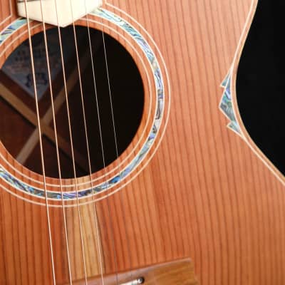 Cole Clark AN3EC-RDBLSB Redwood Blackwood Acoustic-Electric Guitar Pre-Owned image 7