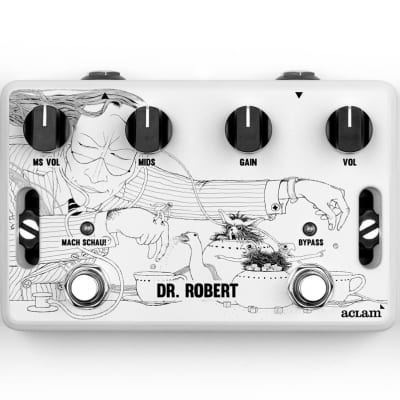 Aclam Guitars Dr. Robert Overdrive | Reverb
