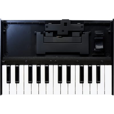 Roland K-25m Portable Keyboard Unit for Roland Boutique Modules image 1