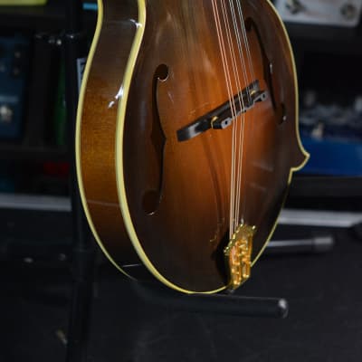 Lebeda F5 Standard+ Mandolin 2005 - Tobacco Sunburst image 16