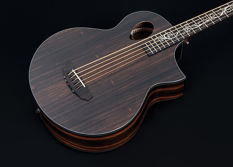 Michael Kelly Dragonfly 5 Forte Port Acoustic Electric Bass Guitar Java Ebony, 5 image 1