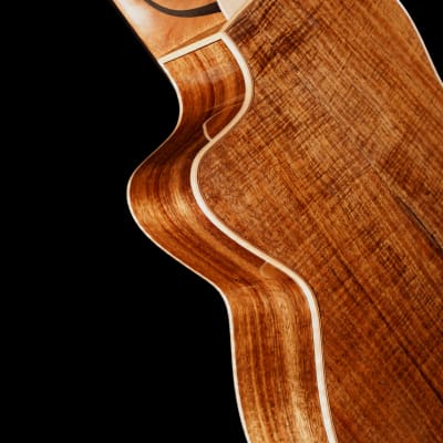 Hsienmo curly redwood tasmanian blackwood guitar with case image 3